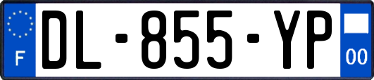 DL-855-YP
