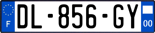 DL-856-GY