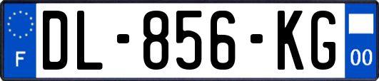 DL-856-KG