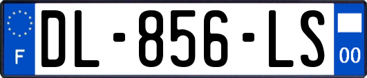 DL-856-LS