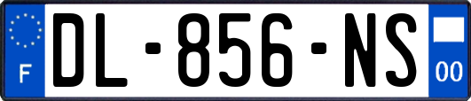 DL-856-NS