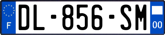 DL-856-SM