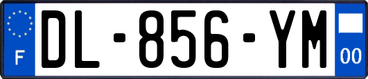 DL-856-YM