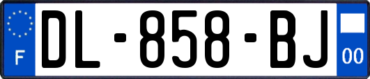 DL-858-BJ