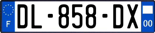 DL-858-DX