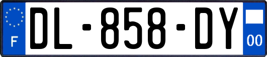 DL-858-DY