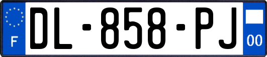 DL-858-PJ