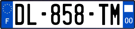 DL-858-TM