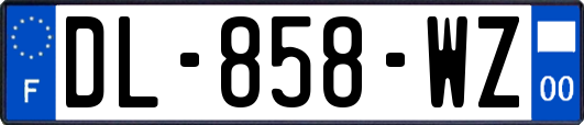 DL-858-WZ