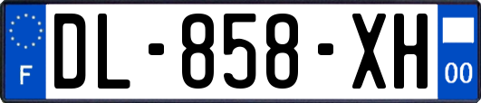 DL-858-XH