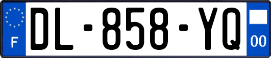 DL-858-YQ