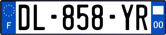 DL-858-YR