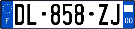 DL-858-ZJ