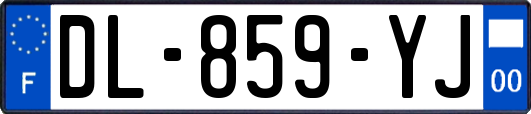 DL-859-YJ