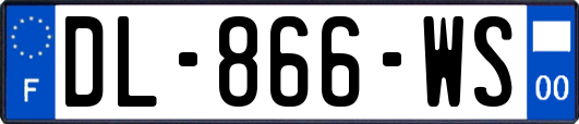 DL-866-WS