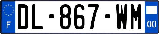 DL-867-WM