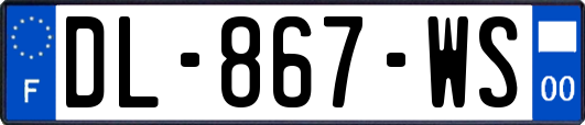 DL-867-WS