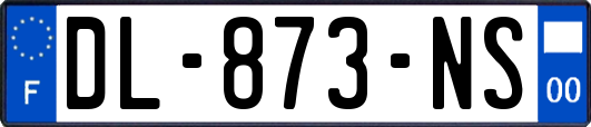 DL-873-NS