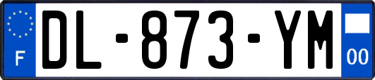 DL-873-YM