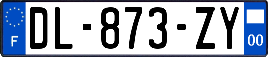 DL-873-ZY