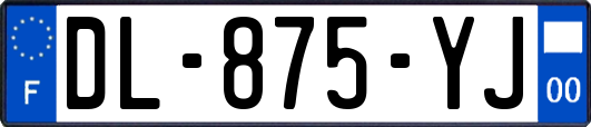 DL-875-YJ