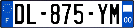 DL-875-YM