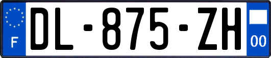 DL-875-ZH