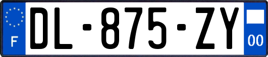 DL-875-ZY