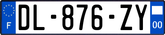 DL-876-ZY