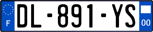 DL-891-YS