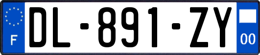 DL-891-ZY