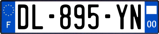 DL-895-YN