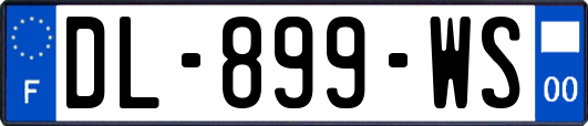 DL-899-WS