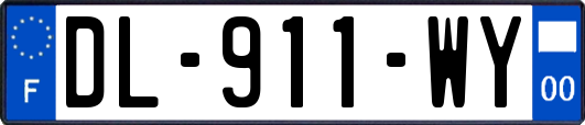 DL-911-WY