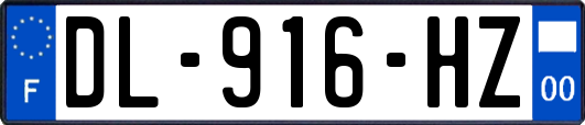 DL-916-HZ