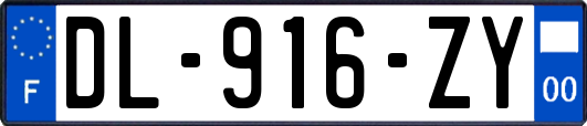 DL-916-ZY