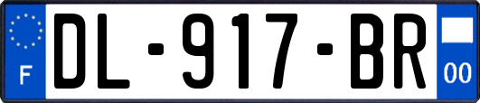 DL-917-BR