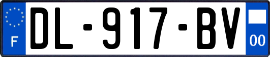 DL-917-BV