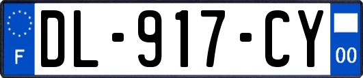 DL-917-CY