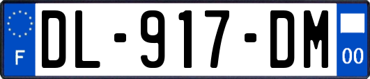 DL-917-DM