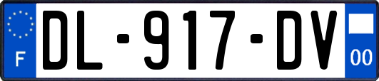 DL-917-DV