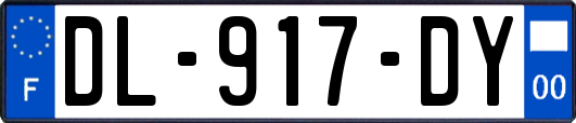 DL-917-DY