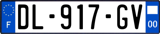 DL-917-GV