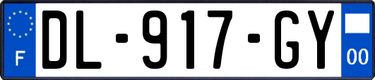DL-917-GY