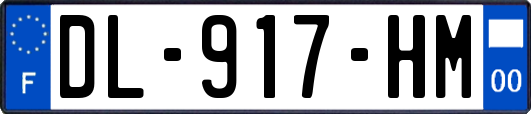 DL-917-HM