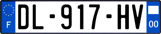 DL-917-HV