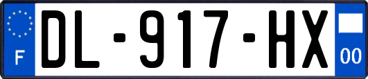 DL-917-HX