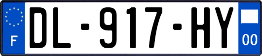 DL-917-HY