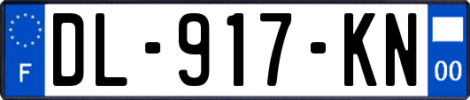 DL-917-KN