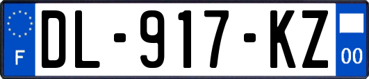 DL-917-KZ